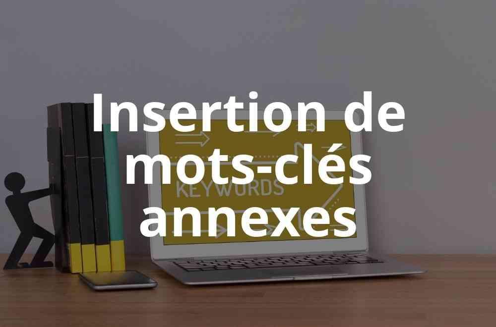 Insertion de mots cles annexes