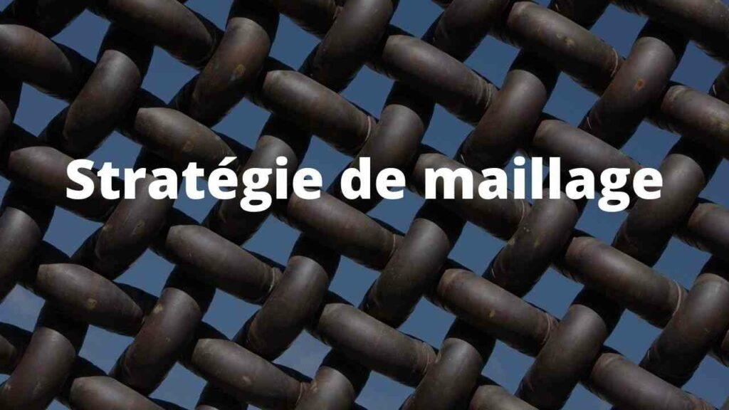Strategie de maillage