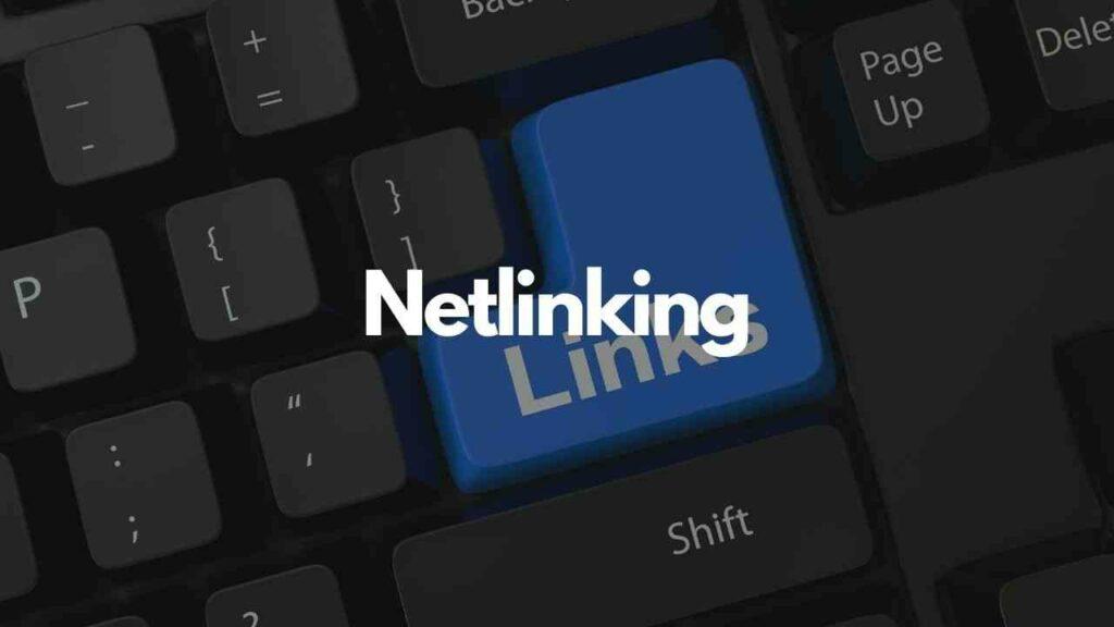 Netlinking